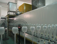 Auto Painting Line